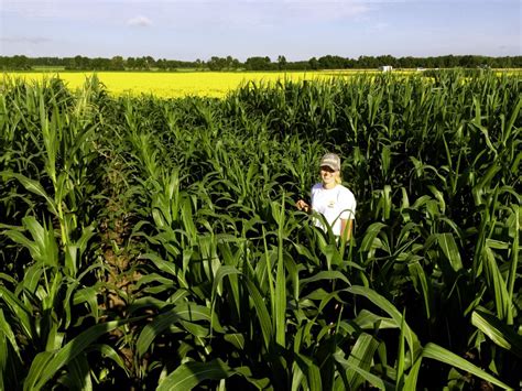 prairie to corn 1 .pdf - NATIONAL CENTER FOR CASE STUDY...