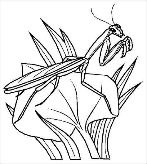Praying Mantis Coloring Pages Coloringbay Praying Mantis Coloring Pages - Praying Mantis Coloring Pages