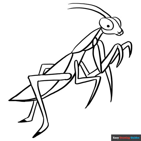 Praying Mantis Online Coloring Page Thecolor Com Praying Mantis Coloring Page - Praying Mantis Coloring Page