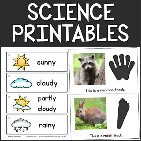 Pre K Science Printables Prekinders Pre K Science Activities - Pre K Science Activities