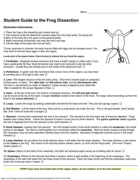 Pre Lab Frog Dissection Question Answers