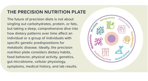 Precision Nutrition Program