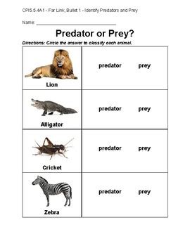 Predator And Prey Relationships Live Worksheets Predators And Prey Worksheet - Predators And Prey Worksheet