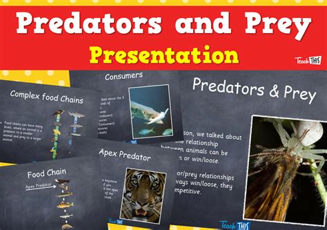 Predator And Prey Teaching Resources Predators And Prey Worksheet - Predators And Prey Worksheet