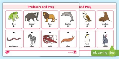Predator And Prey Thread Matching Activity Twinkl Predators And Prey Worksheet - Predators And Prey Worksheet