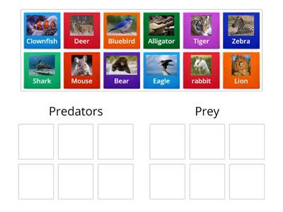 Predator Prey Adaptations Teaching Resources Wordwall Predators And Prey Worksheet - Predators And Prey Worksheet