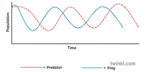 Predator Prey Graph