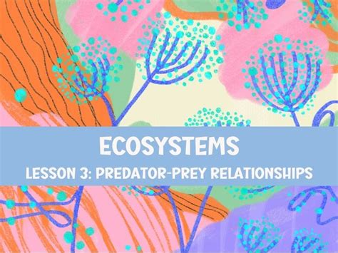 Predator Prey Relationships Lesson Teaching Resources Predator Prey Relationship Worksheet Answer Key - Predator Prey Relationship Worksheet Answer Key