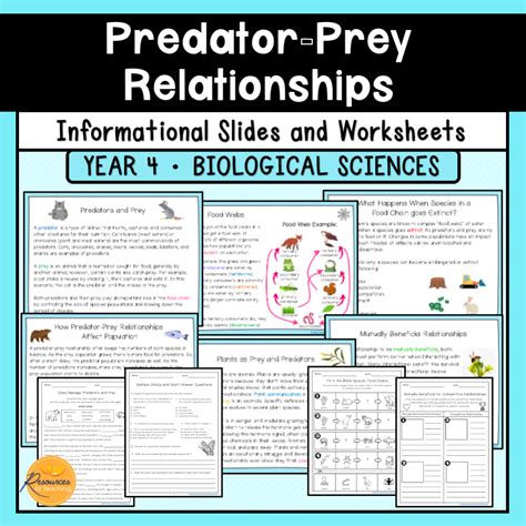 Predator Prey Relationships Slides Amp Worksheets Resources For Predators And Prey Worksheet - Predators And Prey Worksheet