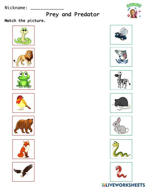 Predators And Prey Worksheets K12 Workbook Predators And Prey Worksheet - Predators And Prey Worksheet