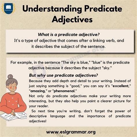 Predicate Adjectives Explanation And Examples Grammar Monster Predicate Adjective Worksheet - Predicate Adjective Worksheet
