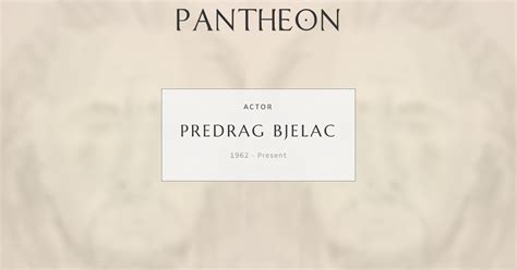 predrag bjelac biography examples