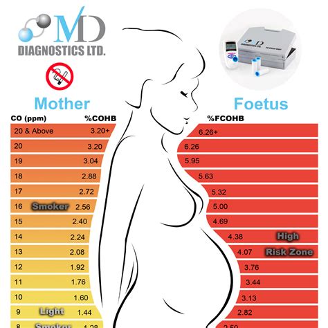 Read Pregnanacy Guide 
