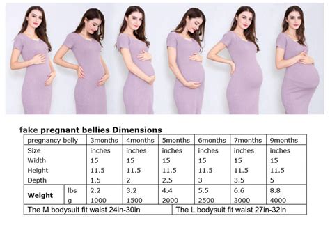 Pregnancy Belly Size Chart