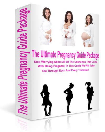 Download Pregnancy Guide Online 