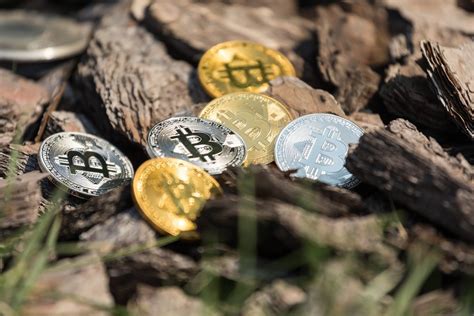 Prekybos kriptovaliutomis pamoka investuoti visus savo pinigus į bitcoin