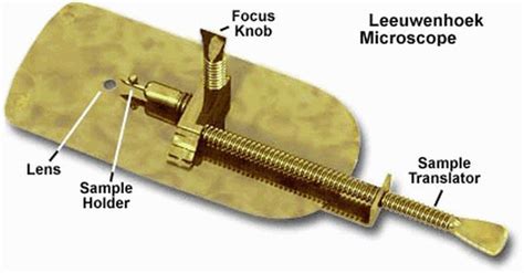 premier microscope van leeuwenhoek biography