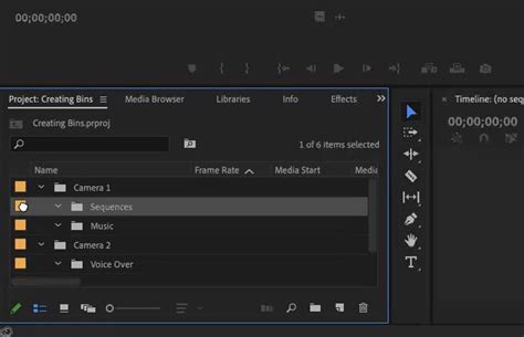 Premiere Pro Bins