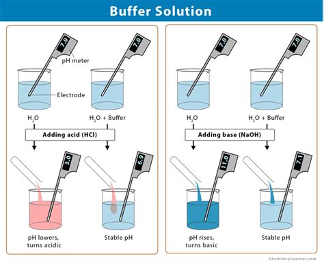 Preparation And Properties Of Buffer Solutions Pre Lab Answers