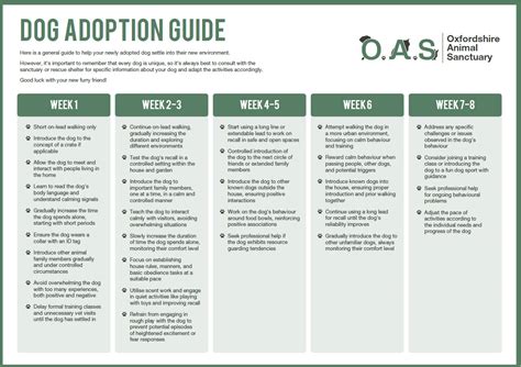 preparing for adoption a guide to introductions a