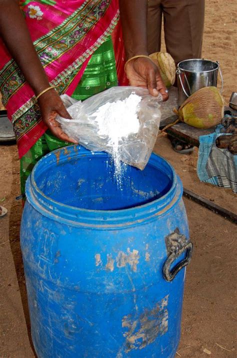 Preparing Panchagavya Step By Step The Hindu