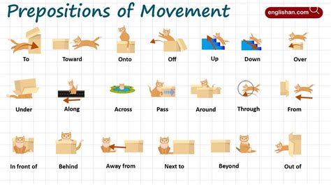 Prepositions Of Movement
