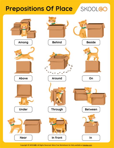 Prepositions Worksheet Free Printable Digital Amp Pdf Preposition Worksheets For Kindergarten - Preposition Worksheets For Kindergarten