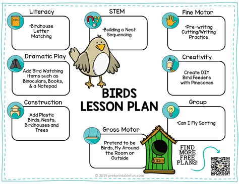 Preschool Birds Lesson Planning Ideas Pre K Printable Parts Of Birds For Kindergarten - Parts Of Birds For Kindergarten