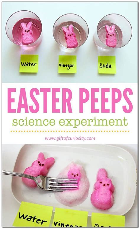 Preschool Easter Science Activities   Easter Activities For Kids Mamanista - Preschool Easter Science Activities