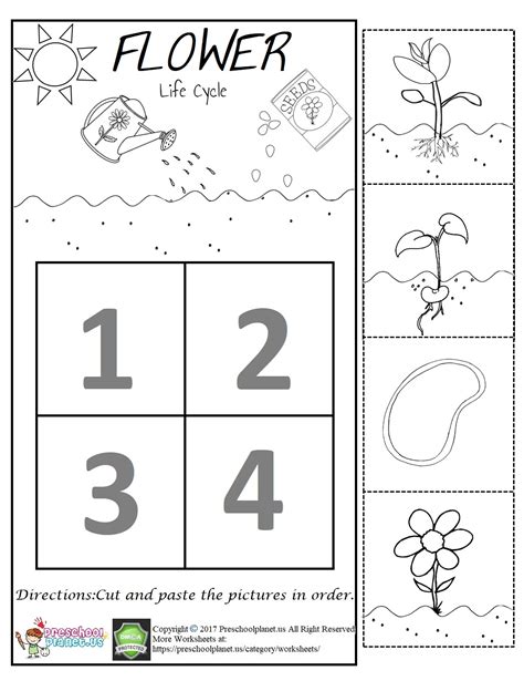 Preschool Flower Theme Worksheets   F Is For Flower Preschool Activities For Spring - Preschool Flower Theme Worksheets