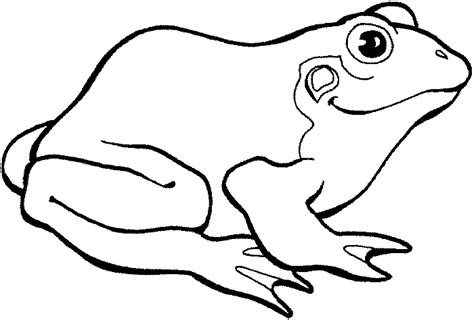 Preschool Frog Coloring Pages   Frog Coloring Page Free Printable Coloring Pages - Preschool Frog Coloring Pages