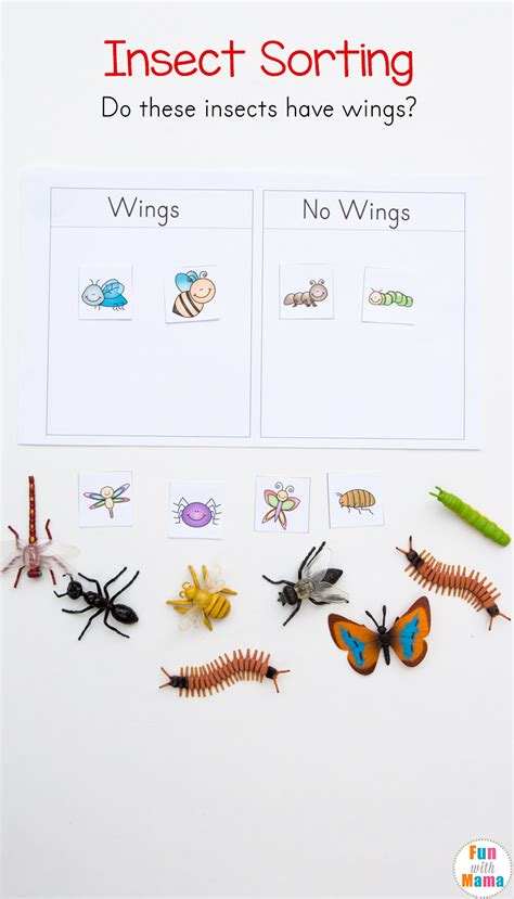 Preschool Insect Theme Sorting Worksheet Bug Activities Fun Preschool Insect Worksheets - Preschool Insect Worksheets
