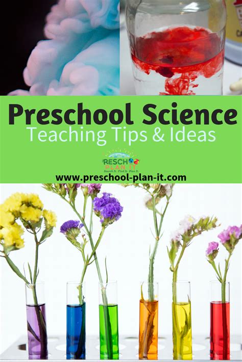 Preschool Learning Objectives Preschool Science Concepts - Preschool Science Concepts