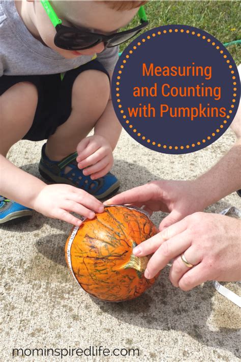 Preschool Math Measuring Pumpkins Playfulpreschool Measurement Math - Measurement Math