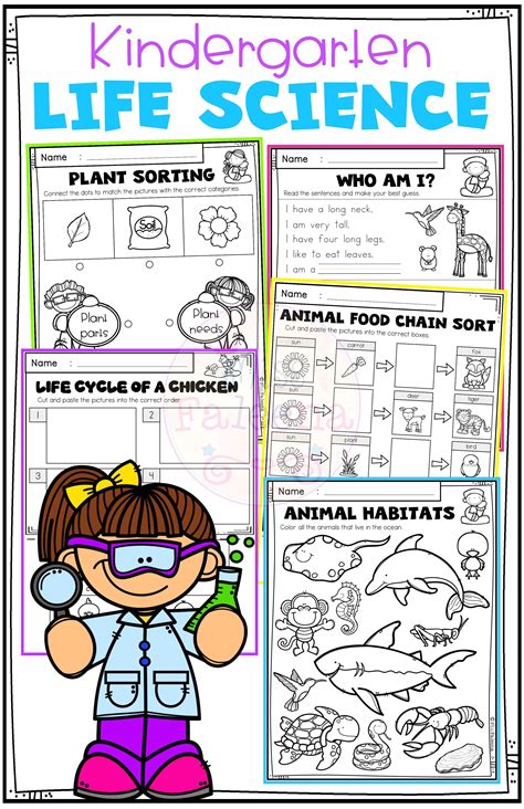 Preschool Program Treeoflife Life Science Preschool - Life Science Preschool