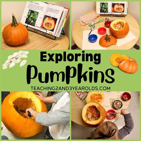 Preschool Pumpkin Science Exploration Teaching 2 And 3 Science Table Preschool - Science Table Preschool