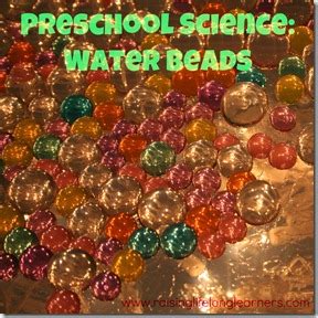 Preschool Science Water Beads Raising Lifelong Learners Water Beads Science - Water Beads Science