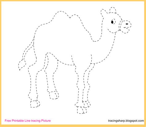 Preschool Tracing Worksheets Teachersmag Com Camel Worksheet For Kindergarten - Camel Worksheet For Kindergarten