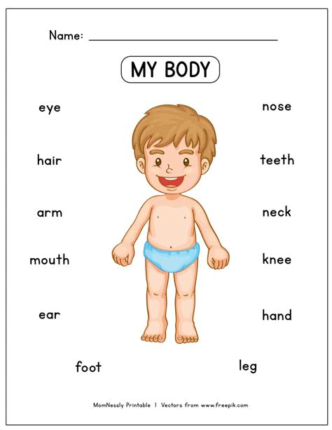Preschool Worksheets Body Parts   Learn Parts Of The Body Kids Pre School - Preschool Worksheets Body Parts