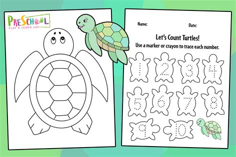 Preschool Worksheets Turtle Diary Preschool  Saurs Worksheet - Preschool -saurs Worksheet