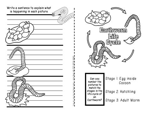 Preschool Worm Worksheet   Squirmy Worms Practicing Counting Worksheet Education Com - Preschool Worm Worksheet