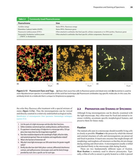 Full Download Prescott Microbiology 7Th Edition Download 