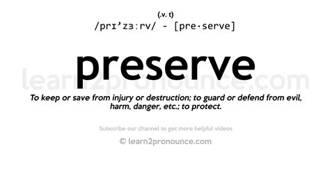 preserve definition