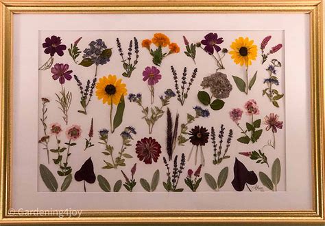 Pressed Flower Art