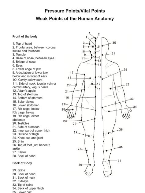 Pressure Points Of The Human Body For Self Defense