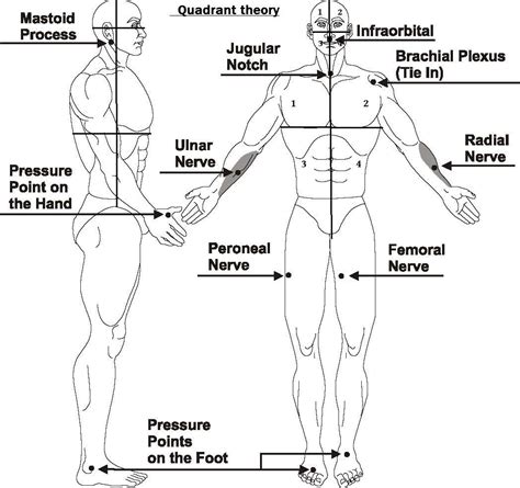 Pressure Points Self Defence