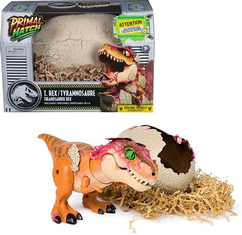 Primal Interactive 7 Set