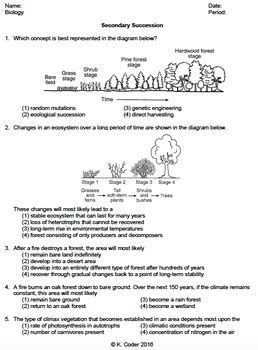 Primary And Secondary Succession Worksheet Answers   Ecological Succession Worksheet Pond Key Docx Ecological - Primary And Secondary Succession Worksheet Answers