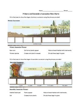 Primary And Secondary Succession Worksheets K12 Workbook Primary And Secondary Succession Worksheet - Primary And Secondary Succession Worksheet