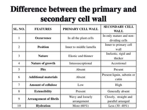 Primary Cell Wall Vs Secondary Cell Wall